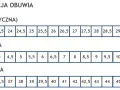Tabela rozmiarów obuwia: metryczna (cm), angielska (anglosaska miara długości) i francuska.