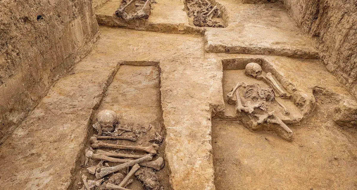 Niezwykłe odkrycie archeologiczne w Polsce: odsłonięte ludzkie szczątki w ziemi, świadectwo dawnych pochówków.