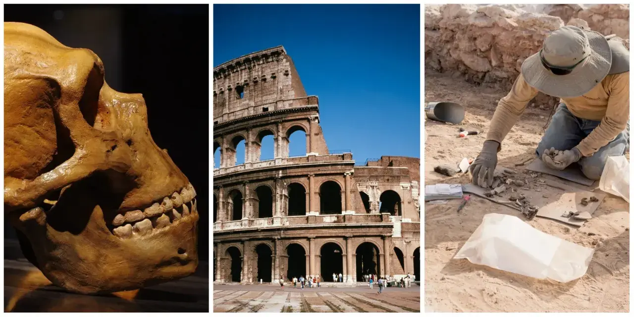 Czaszka hominida, Koloseum i archeolog przy pracy – przykłady najważniejszych odkryć archeologicznych na świecie.