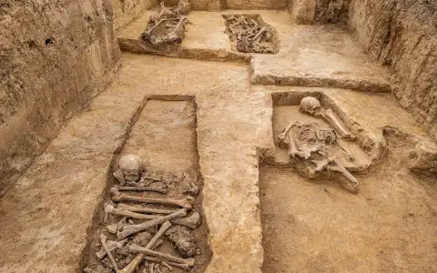 Niezwykłe odkrycie archeologiczne w Polsce: odsłonięte ludzkie szczątki w ziemi, świadectwo dawnych pochówków.