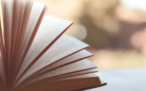 Otwarta księga, jej strony rozchylone jak wachlarz. Widać tekst, numery stron. To jak synkretyzm idei, gdzie różne wątki splatają się w całość.