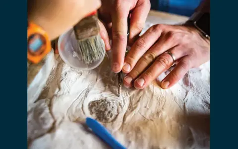 Ręce archeologa i paleontologa delikatnie oczyszczają znalezisko.
