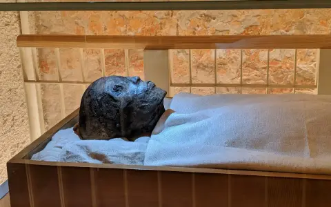 Mumia Tutanchamona spoczywa w szklanej gablocie, owinięta w płótno.