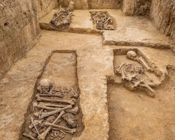 Niezwykłe odkrycie archeologiczne w Polsce: odsłonięte ludzkie szczątki w ziemi, świadectwo dawnych pochówków.