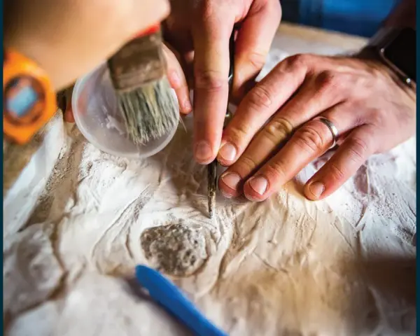 Ręce archeologa i paleontologa delikatnie oczyszczają znalezisko.