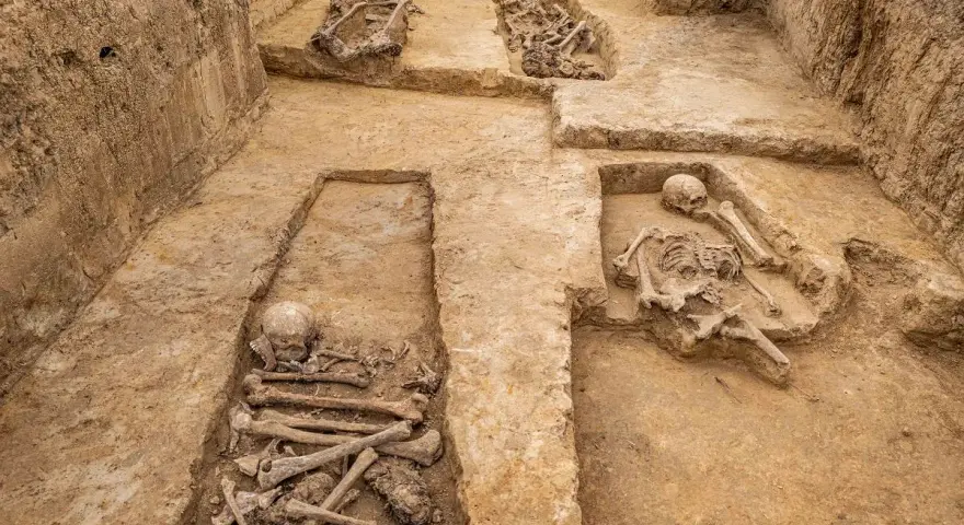 Niezwykłe odkrycie archeologiczne w Polsce: odsłonięte ludzkie szczątki w ziemi, świadectwo dawnych pochówków.
