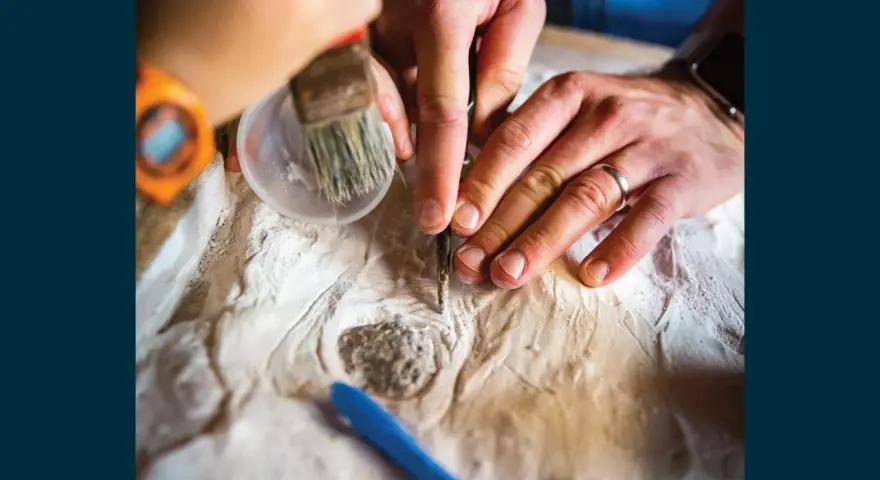 Ręce archeologa i paleontologa delikatnie oczyszczają znalezisko.