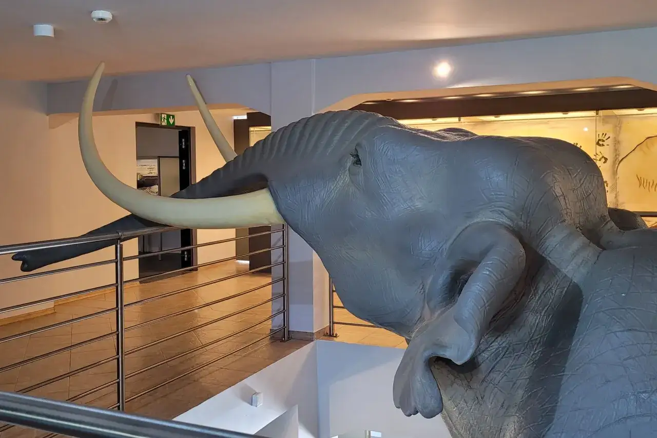 Model mamuta, czyli słoń kopalny, z długimi ciosami i szarą sk&oacute;rą, stoi w muzeum obok balustrady.