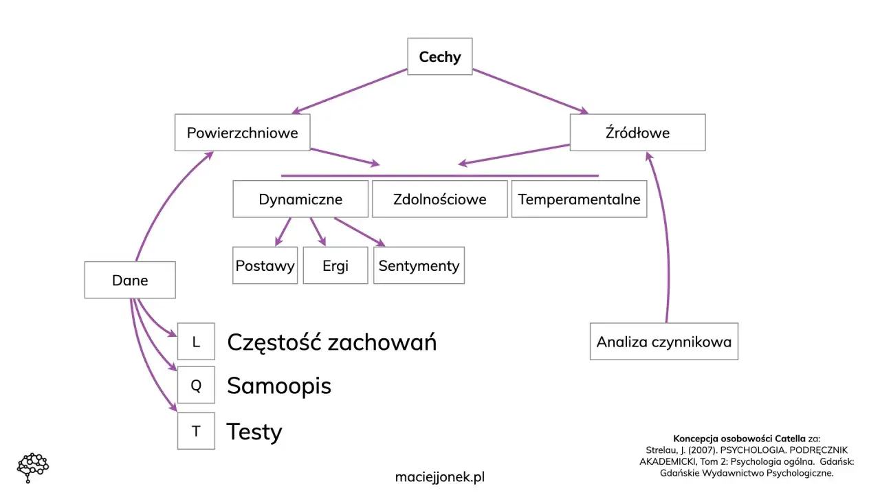 Holizm co to? Schemat przedstawia cechy osobowości: powierzchowne i źródłowe, dynamiczne, zdolnościowe, temperamentalne. Dane zbierane są przez analizę czynnikową, częstość zachowań, samoopis i testy.