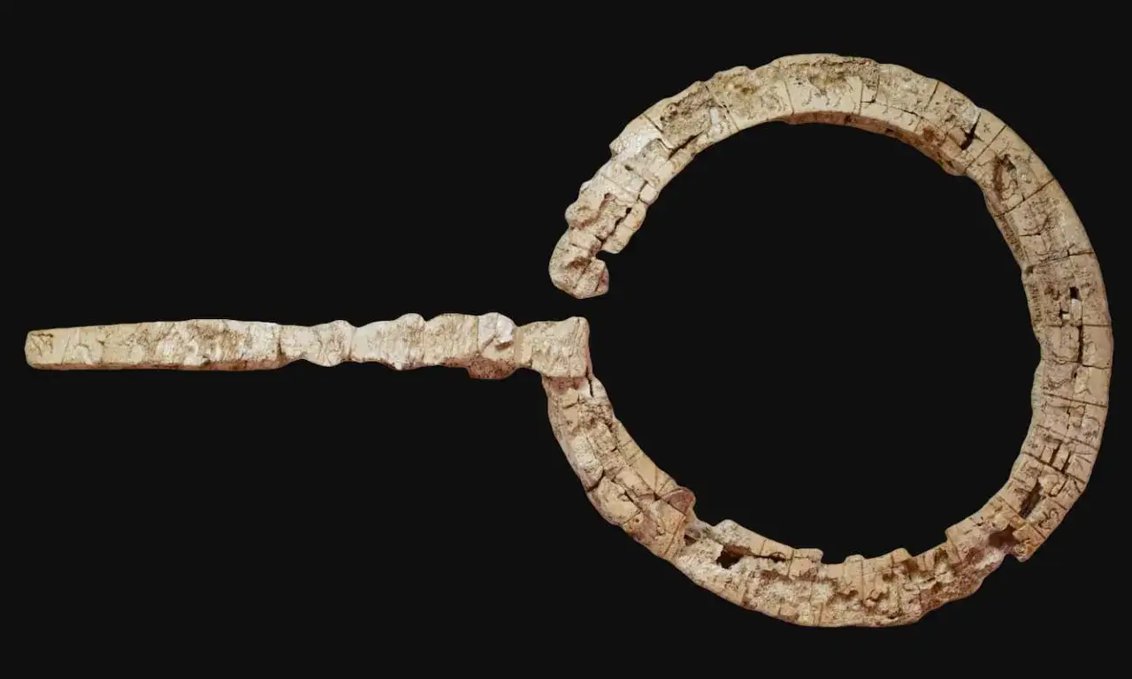 Fragment kości z rytami, przypominający pismo linearne a. Widoczny fragment okręgu i prosty element.