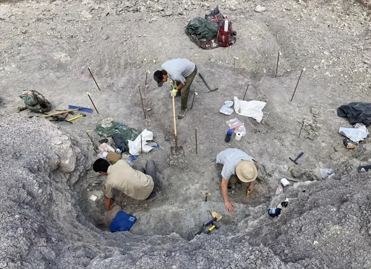 Archeolog i paleontolog pracują w wykopie, szukając ślad&oacute;w przeszłości.