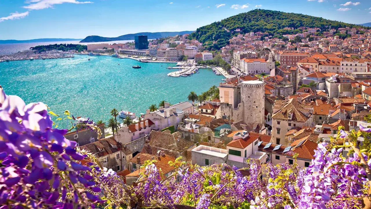Widok na Split, gdzie starożytne chorwackie zabytki spotykają się z turkusowym morzem. Fioletowe kwiaty dodają uroku temu malowniczemu krajobrazowi.