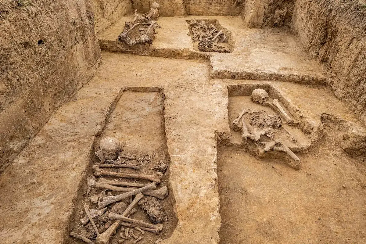 Wykopalisko odsłaniające ludzkie szczątki. Najnowsze odkrycia w zakazanej archeologii budzą sensację.