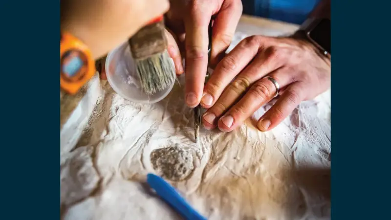 Ręce archeologa i paleontologa delikatnie oczyszczają znalezisko.